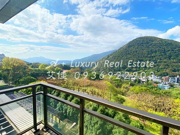 陽明帝景溫泉泳池別墅