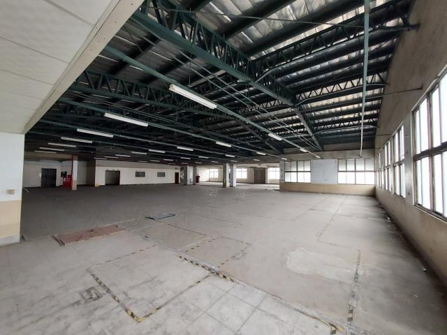 台南仁德廠房-4