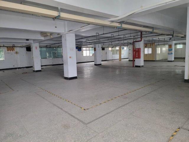 桃園廠房-4