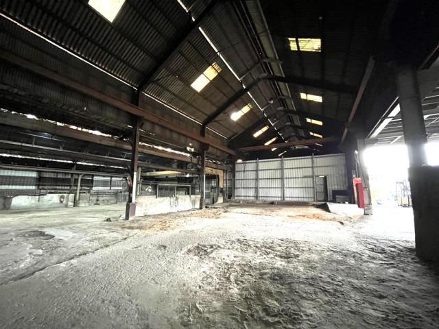 桃園大園廠房-4