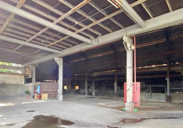 桃園大園廠房-7