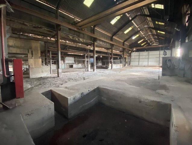 桃園大園廠房-8