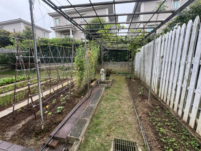 桃園楊梅透天-14