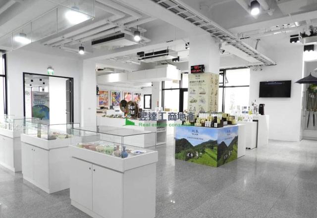 桃園大園廠房-2