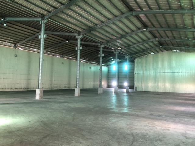 桃園大園廠房-2