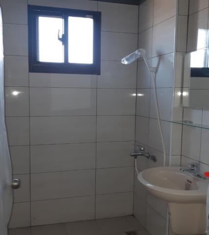 新屋全新資材室農地