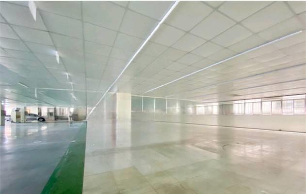 新北新莊廠房-2