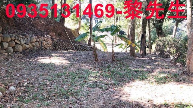 新竹關西農舍-11