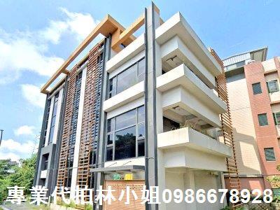 新北林口法拍華廈-5