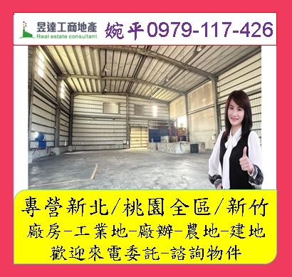 桃園大園廠房-1