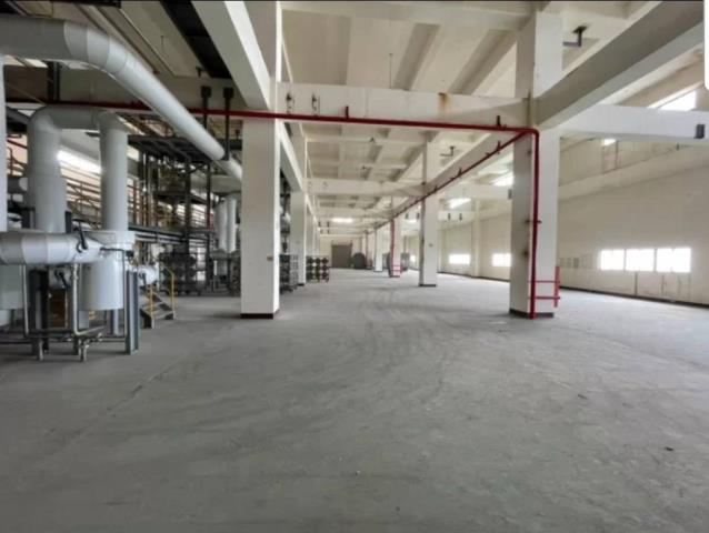 桃園楊梅廠房-1