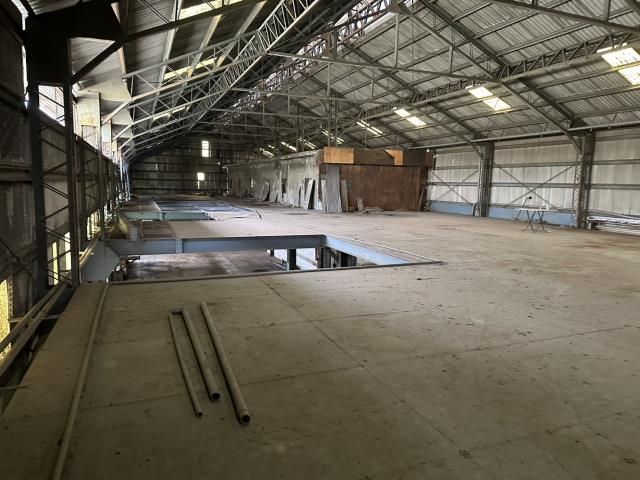 新北樹林廠房-2