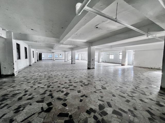 桃園桃園區廠房-2