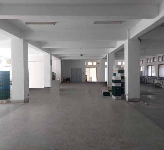 新北廠房-2