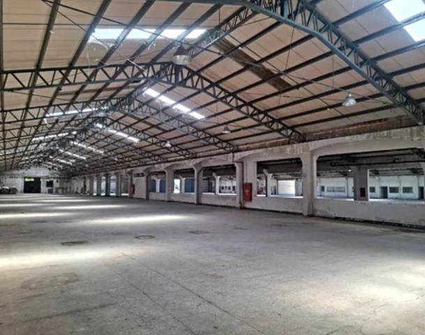 桃園楊梅廠房-1