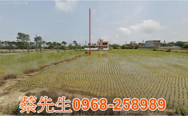 桃園觀音拍賣農舍-15