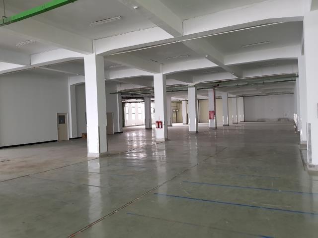 桃園中壢廠房-2