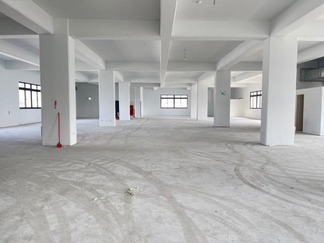 桃園中壢廠房-5