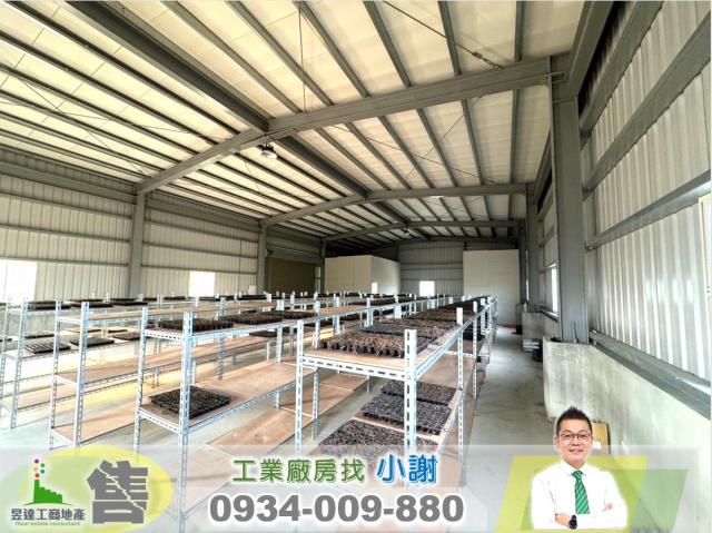 桃園廠房-1