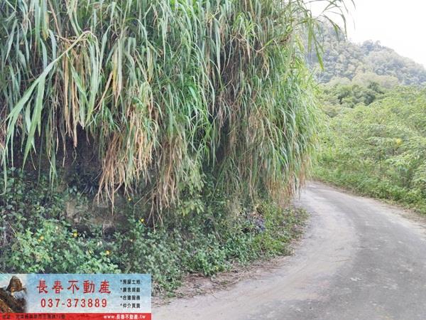 苗栗公館建地-2