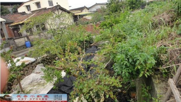 苗栗銅鑼建地-8