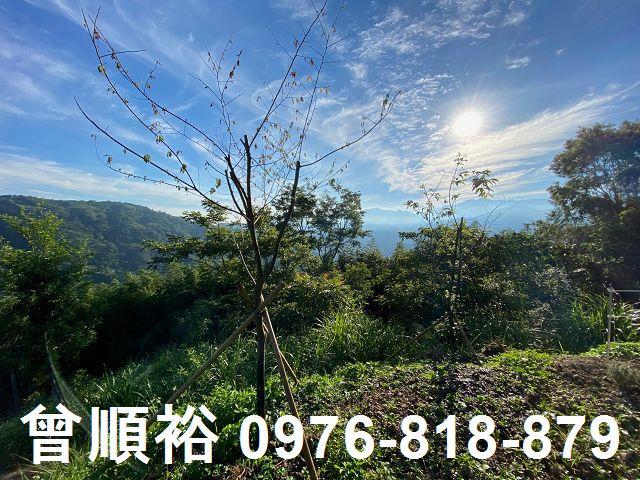 新竹尖石農地-6