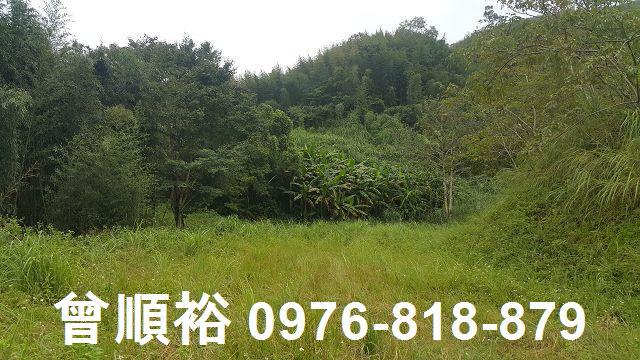 新竹尖石農地-1