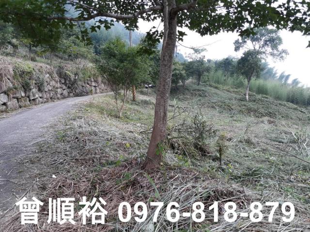 新竹尖石農地-1