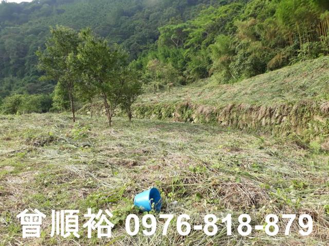 新竹尖石農地-2