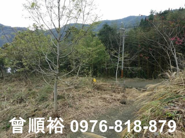 新竹尖石農地-5