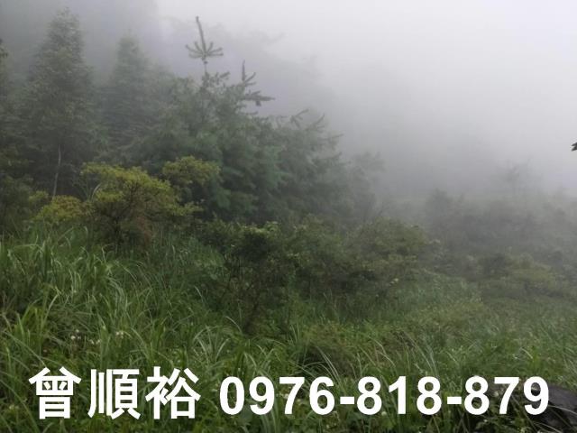 新竹尖石農地-6