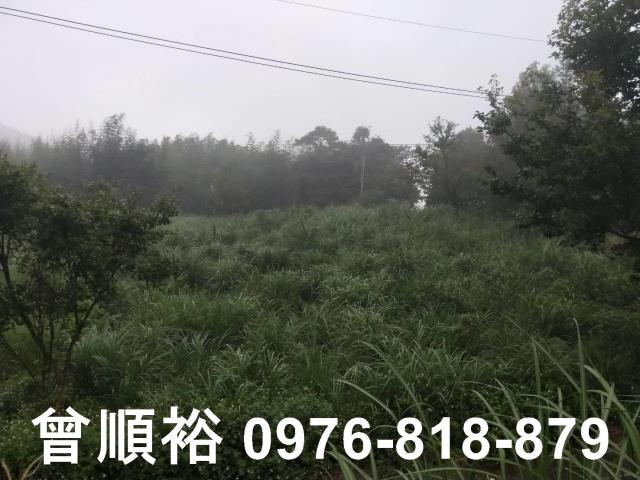 新竹尖石農地-8