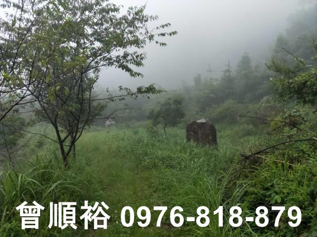 新竹尖石農地-10