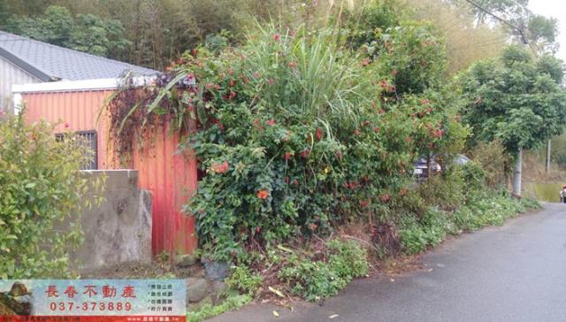 苗栗大湖建地-1