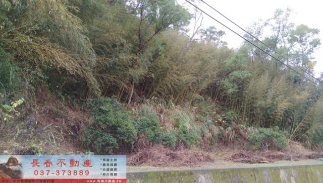 苗栗大湖建地-2