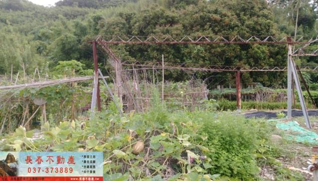 苗栗公館建地-1