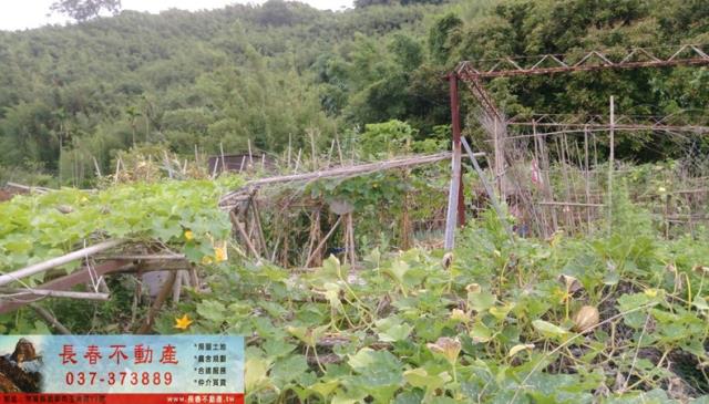 苗栗公館建地-2