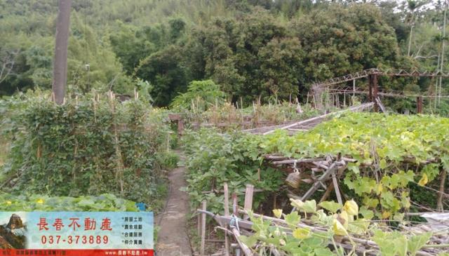 苗栗公館建地-3