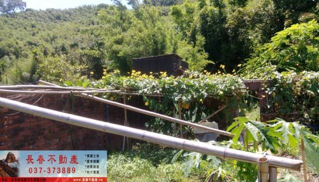 苗栗公館建地-5