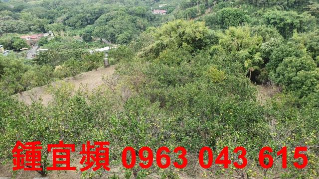 新竹芎林農地-13