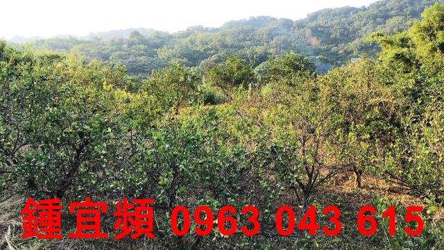 新竹芎林農地-3