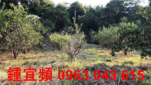 新竹芎林農地-5