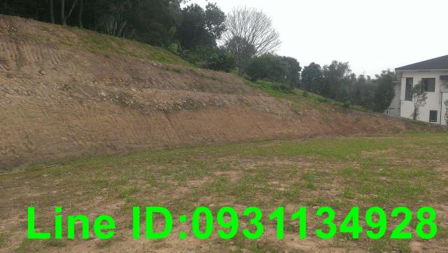 苗栗苑裡建地-3