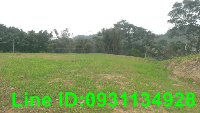 苗栗苑裡建地-1