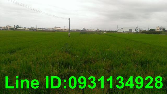 通霄農地-2