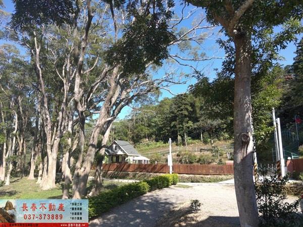 苗栗建地-2