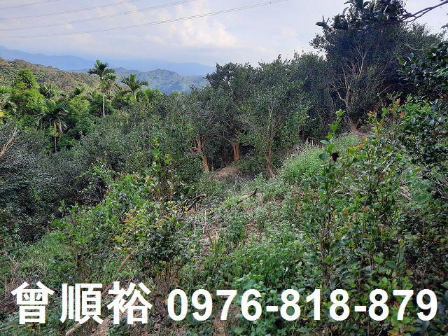 新竹關西農地-10