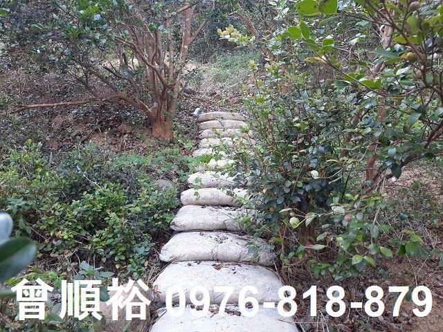 新竹關西農地-11