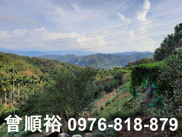 新竹關西農地-1