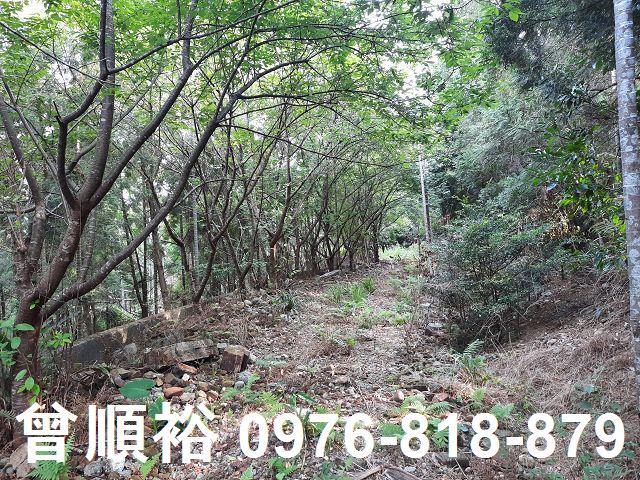 新竹關西農地-6